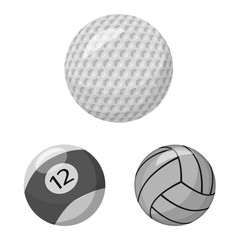 Vector illustration of sport and ball sign. Set of sport and athletic stock symbol for web.