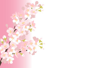 Plakat 桜の背景イラスト