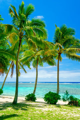 An idyllic beach with palm trees in Rarotonga in the Cook Islands