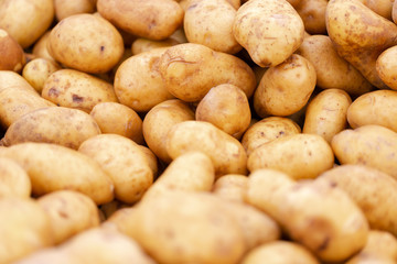 Clean, washed potatoes in light brown, yellow colour on market stall