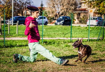 Bull terrier jumping during disc dog training with female trainer