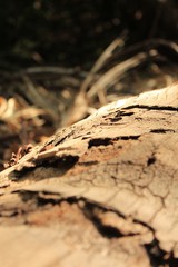 Wooden pattern