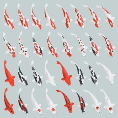 Japanese koi carp set. Vector.