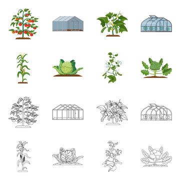 Vector illustration of greenhouse and plant logo. Set of greenhouse and garden vector icon for stock.