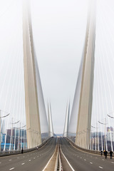 Golden cable-stayed bridge road car traffic from above. Modern Vladivostok Russia night illumination. Old and modern central buildings.	