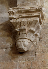 mensola scolpita con muso di suino  interno della Cattedrale di Molfetta © gabriffaldi