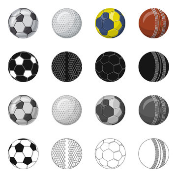 Vector illustration of sport and ball sign. Collection of sport and athletic stock symbol for web.