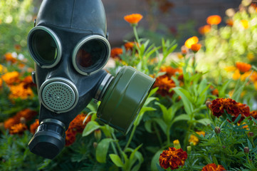 Gas mask on background of flowers. Environmental protection. World environmental problems.