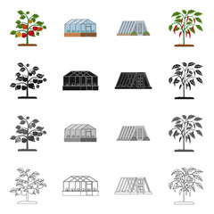 Vector design of greenhouse and plant symbol. Collection of greenhouse and garden stock vector illustration.