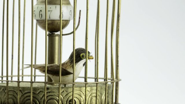 Vintage clock with little bird in a cage