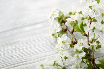 White wood spring background with flowers