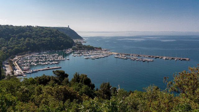 Duino