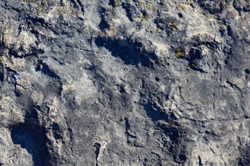 A close view of the surface and the texture of a big rock.