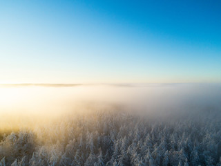 Aerial view clouds over forest during winter colours. Aerial view of forest and clouds. Aerial drone view of the forest. Aerial top view cloudscape. Texture of clouds.