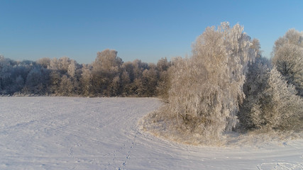 aerial view winter landscape trees covered with snow in countryside. field and trees in winter