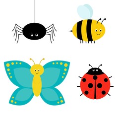 Cute cartoon insect set. Ladybug, spider, butterfly and bee. Isolated.