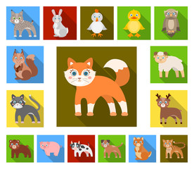 Toy animals flat icons in set collection for design. Bird, predator and herbivore vector symbol stock web illustration.