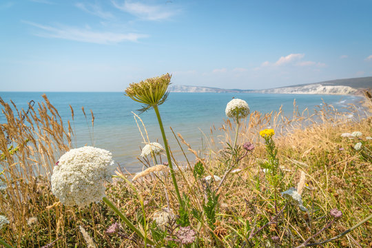 View over the freshwater bay of isle of wight island in the UK.