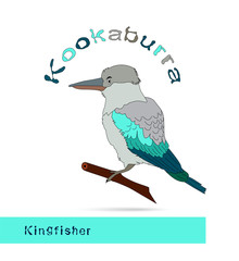 Kookaburra. Emblem. Post card.