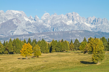 Fototapeta premium Jesienny nastrój w Trentino