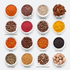Different kinds of spices on white background