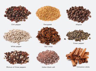 Different kinds of spices on white background