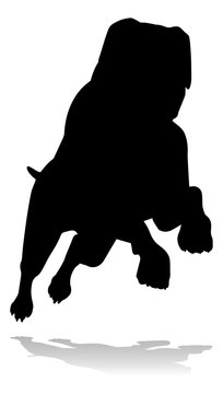 recommend clip art: A detailed animal silhouette of a pet dog