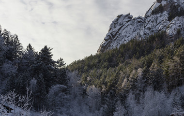 Winter landscape mountain slope covered with snow