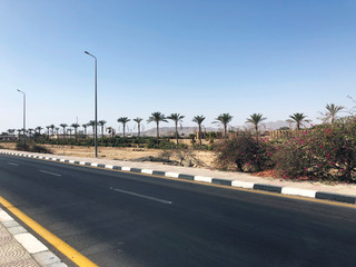 incredibly beautiful roads and coastline with palm trees near the red sea in the tourist resort of the sunny town of Sharm El Sheikh in Egypt