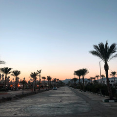 incredibly beautiful roads and coastline with palm trees near the red sea in the tourist resort of the sunny town of Sharm El Sheikh in Egypt