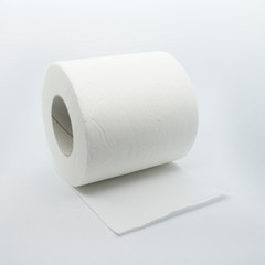 Shot to some a toilet paper roll.