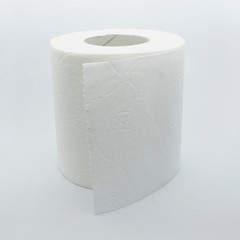 Shot to some a toilet paper roll.