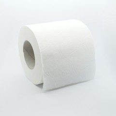 Shot to some a toilet paper roll.