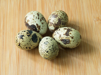 Obraz premium Quail egg speckled closeup