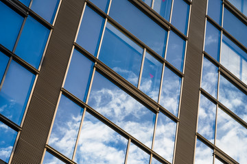 windows of modern building