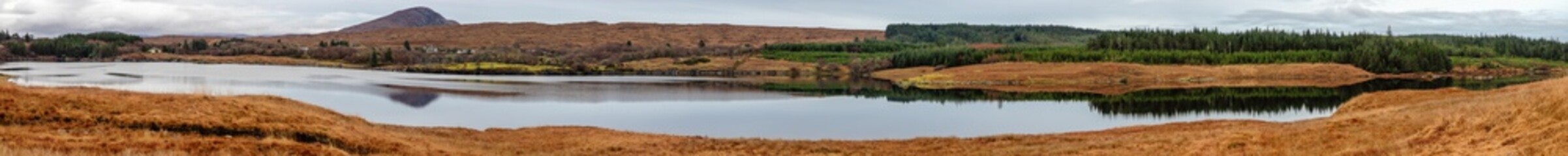 Panorama in Conemara with Pine forest, lake and mountains