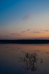 branch of the tree sticks out of the water.  Violet-pink sunrise on the lake.