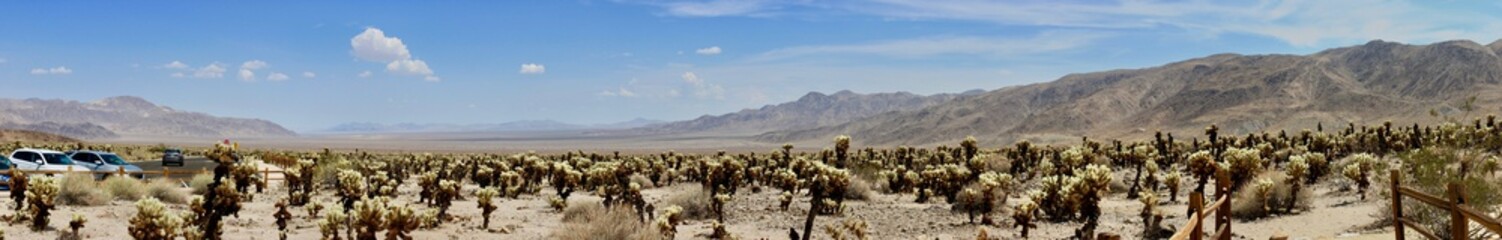 Joshua Tree National Park USA