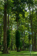 Landscape of  Mae Ngao National park, Sop Moei District, Mae Hong Son province, northern of Thailand.