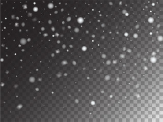 Winter Snowfall Ice Texture Vector Transparent Background. Realistic Snow Confetti Falling Down, Isolated Snowflake Scatter. Random Moving Realistic Snow Confetti, Christmas New Year Frost Decoration.