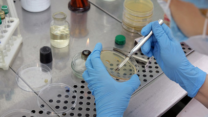 Woman scientist conducting research in the laboratory. Biotechnologies.