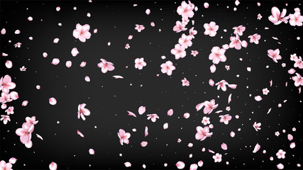 Nice Sakura Blossom Isolated Vector. Magic Blowing 3d Petals Wedding Frame. Japanese Bokeh Flowers Illustration. Valentine, Mother's Day Beautiful Nice Sakura Blossom Isolated on Black