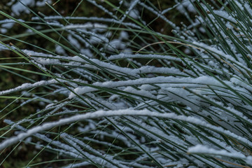 Winterpanorama. Winterstraße. Winterurlaub. Winterparadies. Österreich. Italy. Deutschland. Russland