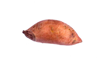 Sweet Potato