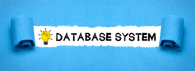 Database System