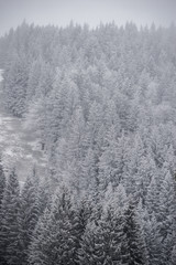 Fototapeta na wymiar Winterpanorama. Winterstraße. Winterurlaub. Winterparadies. Österreich. Italy. Deutschland. Russland.
