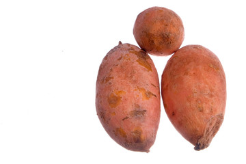 Sweet Potato