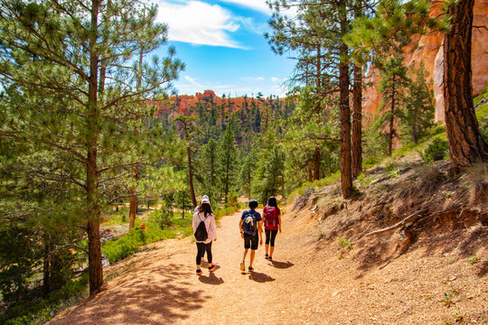 Hiking trip in Bryce Canyon National Park, Utah, USA 