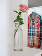 Pink flower in a bottle of water.
