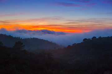 Picturesque Sunset Over Misty Landscape